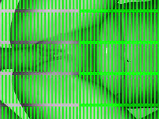 Michelle ist geil auf Sex im Wald