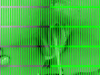 Petra Teenie die geile Ficksau fr den Fick